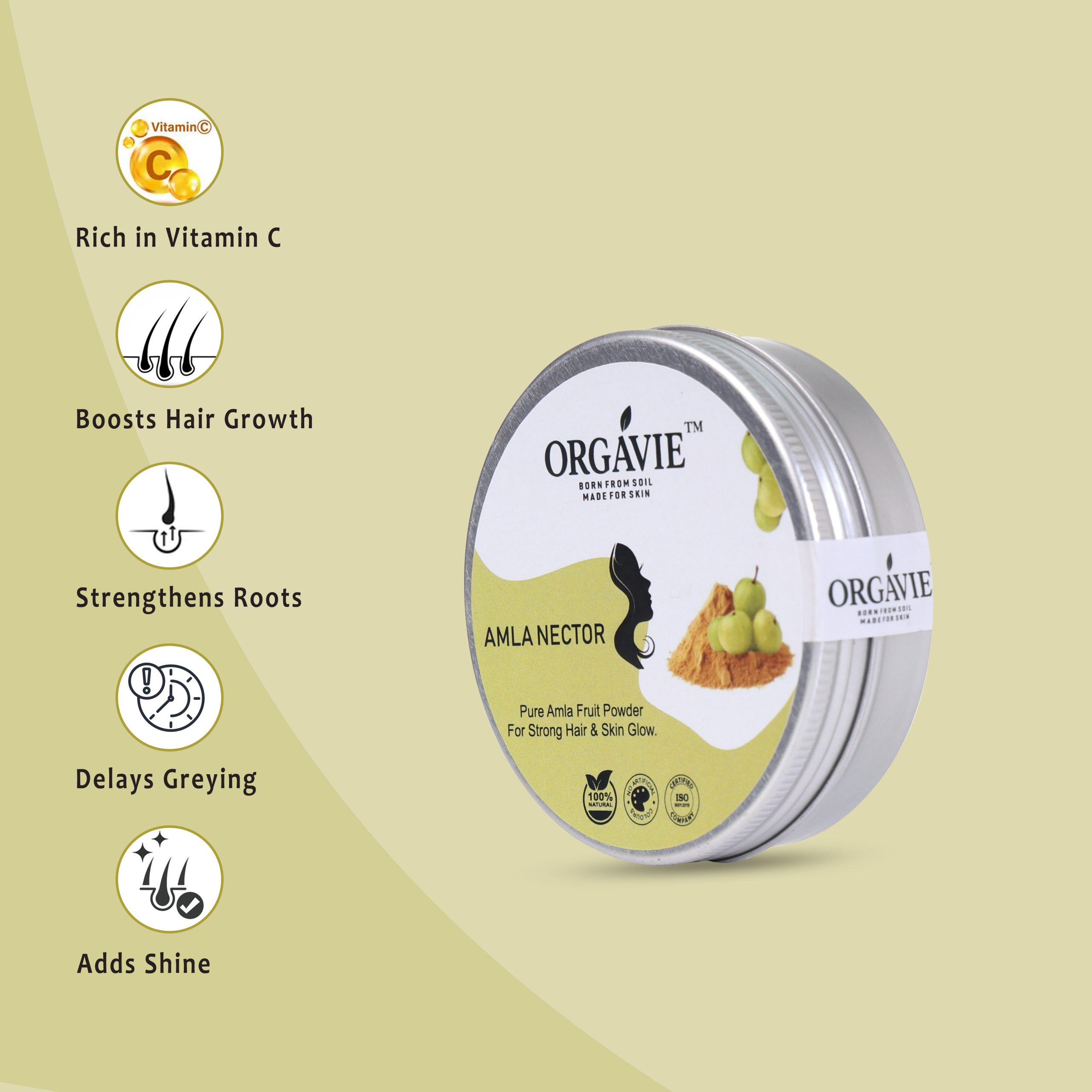 Amla nectar - Image 2